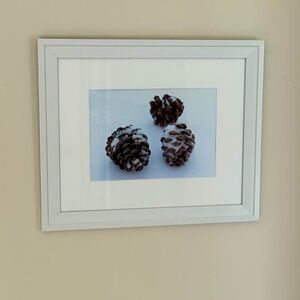 Holiday Decor Framed 8x10 ￼Winter Wall Art Snowy Pine Cones Nature Print